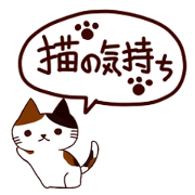 Feeling Of Cat Feeling Of Cat