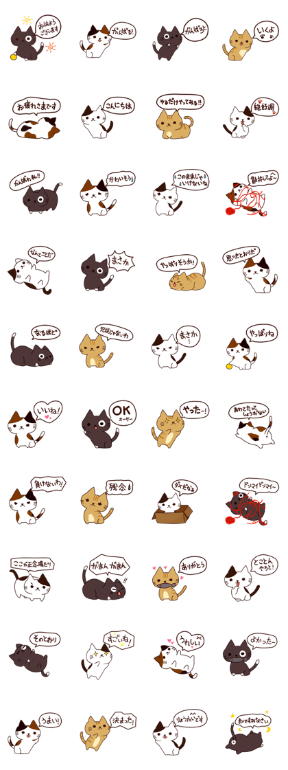 Feeling Of Cat Feeling Of Cat