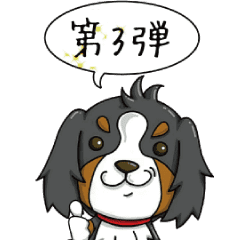 Bernese Mountain Dog apng 3.1