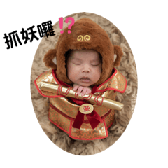 烏骨雞亮亮來囉！！