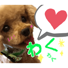 Saya_20210425122002