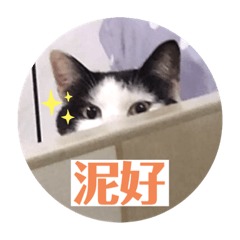 我是撒旦，也是傻蛋