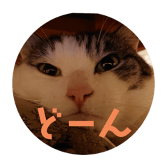 Ayumi_20210425121822