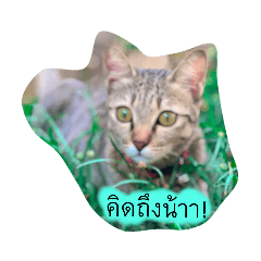 Meekhun_20210424161051