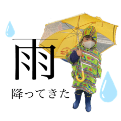 KONDO_20210425010932