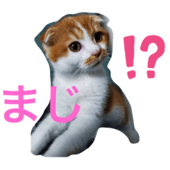 kazuki_20210425104743