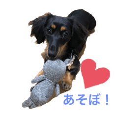 Risa_20210425122753