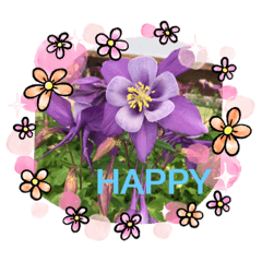 Honey_20210425080642