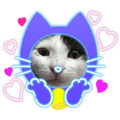 CHIE_20210425124523