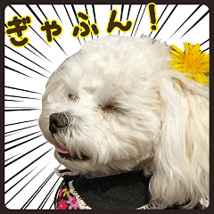 Puppy Sticker(koara and lulu)