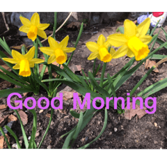 Honey_20210425021818