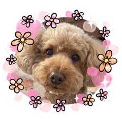 AKIKO_20210425154613