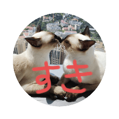 tomomi_20210424212055