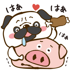 Pug that meat loves