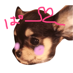Sugitadoubutu