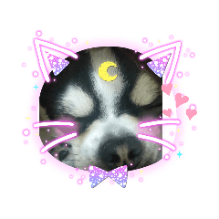 mizuki_20210425182811