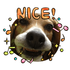 AKIKO_20210425172209