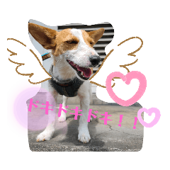 kyamii_20210425205745