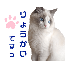 yun_20210425213435