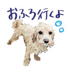 ayumi_20210425184918