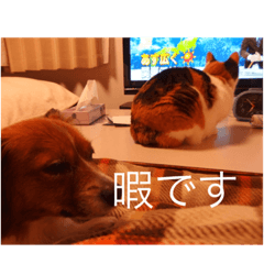 ken_20210425191037