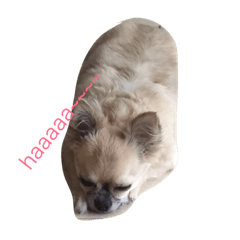babyandmaron