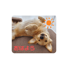 mizuki_20210425213210