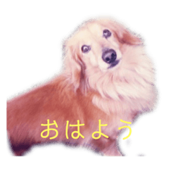 matsu_20210425212816