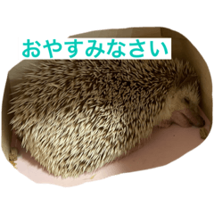 yuka_20210426005956