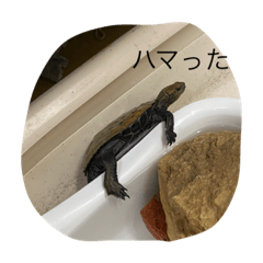 Asuka_20210426103240