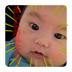 cherry_20210426105023