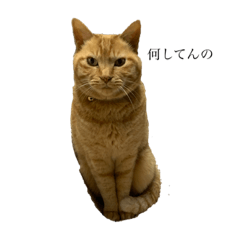 saori_20210425213546