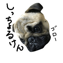 pagu dog oita!