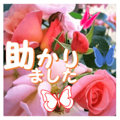 Greetings message of the rose_CG_J