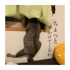 saya_20210426124028