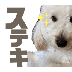 Rei_20210426120449