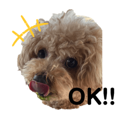 Ayumi_20210426130609