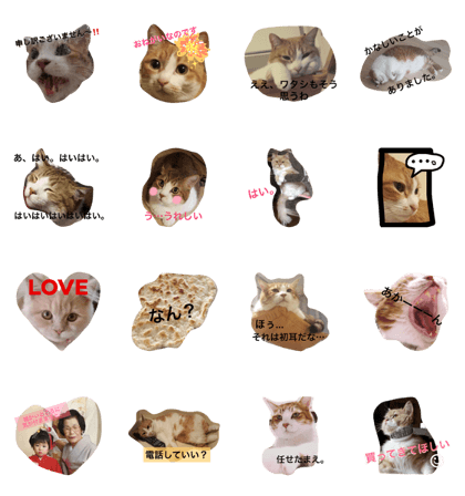 Happy World Happy World