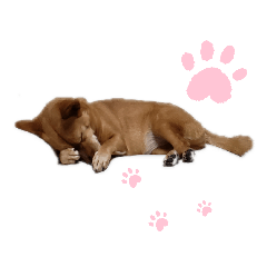 my nanachan