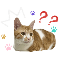 許家小可愛大集合