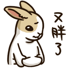 面具兔-動動兔生1