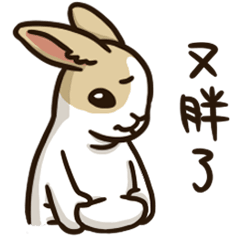 面具兔-動動兔生1