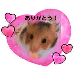 saori_20210426160804