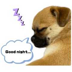 Qoo sticker 2