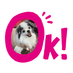 みえ専用 毎日使えるわんこ犬 Lineクリエイターズスタンプ Stamplist みえ専用 毎日使えるわんこ犬 Lineクリエイターズスタンプ Stamplist