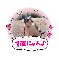 yayoi_20210426191828