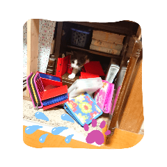 yayoi_20210426194324