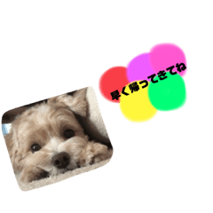 mizuki_20210427024552