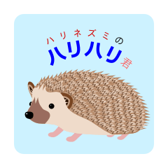 The hedgehog Sticker HARIHARI
