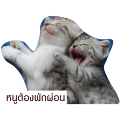Meowmeow_20210426173324